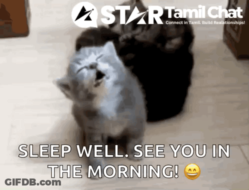 A Picture Of A Cat With The Words Sleep Well See You In The Morning On The Bottom GIF