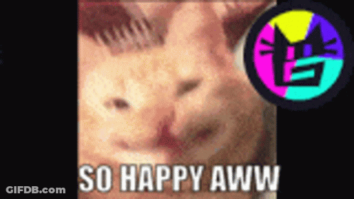A Picture Of A Cat With The Words So Happy Aww Below It GIF