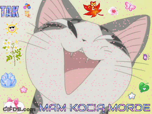 A Picture Of A Cat With The Words Tak Mam Kocia Morde On The Bottom GIF