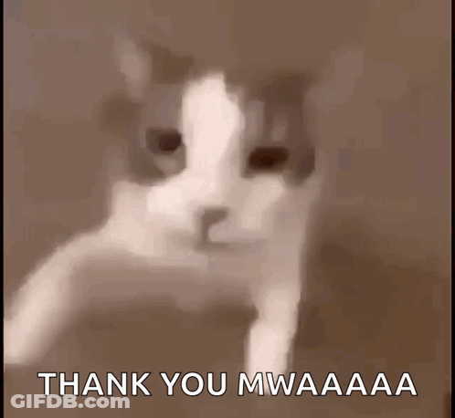 A Picture Of A Cat With The Words Thank You Mwaaaa Written Below It GIF
