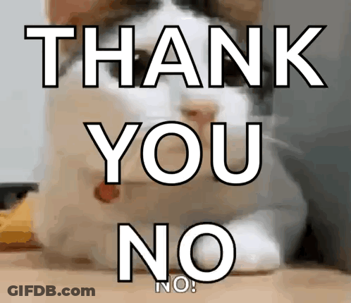 A Picture Of A Cat With The Words Thank You No Behind It GIF