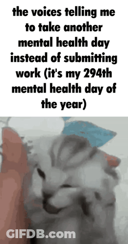 A Picture Of A Cat With The Words " The Voices Telling Me To Take Another Mental Health Day Instead Of Submitting Work " GIF
