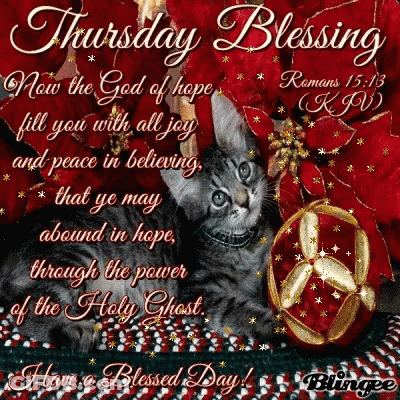 A Picture Of A Cat With The Words Thursday Blessing Written On It GIF