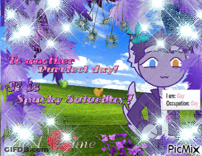A Picture Of A Cat With The Words To Another Purrfect Day Written On It GIF