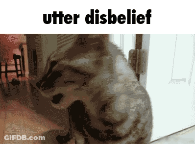 A Picture Of A Cat With The Words " Utter Disbelief " Below It GIF
