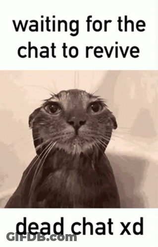 A Picture Of A Cat With The Words Waiting For The Chat To Revive Dead Chat Xd Below It GIF