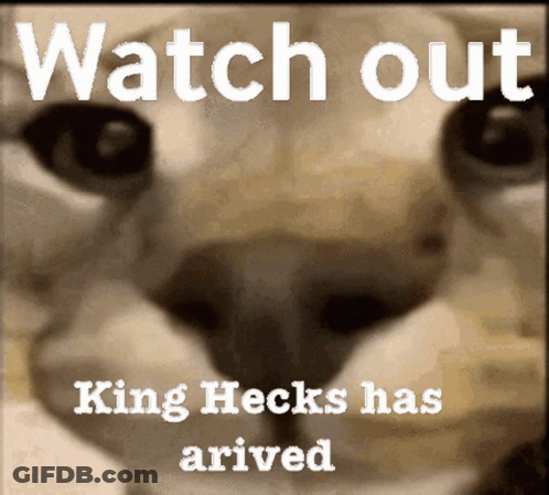 A Picture Of A Cat With The Words Watch Out King Hecks Has Arrived On It GIF