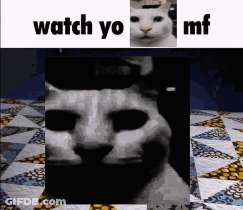 A Picture Of A Cat With The Words " Watch Yo Mf " Above It GIF