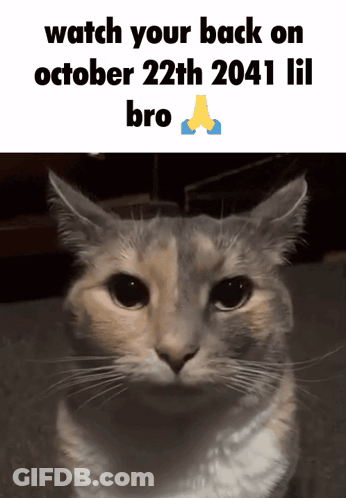 A Picture Of A Cat With The Words Watch Your Back On October 22Th 2041 Lil Bro Below It GIF
