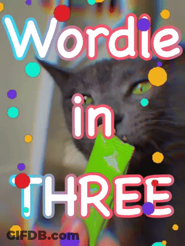 A Picture Of A Cat With The Words Wordie In Three On It GIF