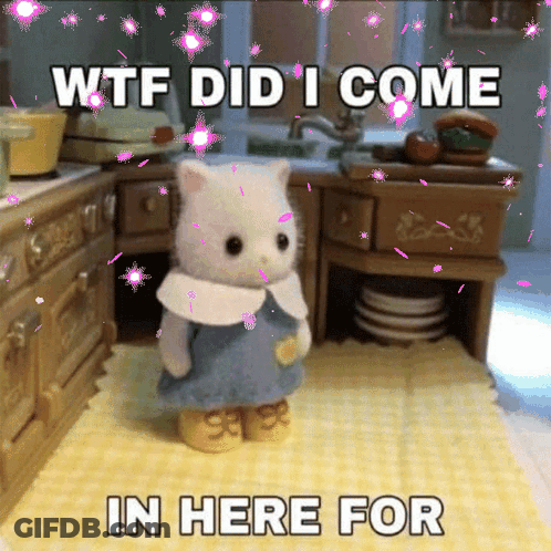 A Picture Of A Cat With The Words WTF Did I Come In Here For On It GIF