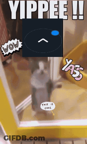 A Picture Of A Cat With The Words " Yippee " Written On It GIF