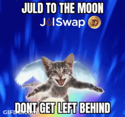 A Picture Of A Cat With Wings And The Words Juld To The Moon GIF