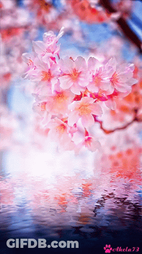 A Picture Of A Cherry Blossom Tree With A Paw Print On The Bottom GIF