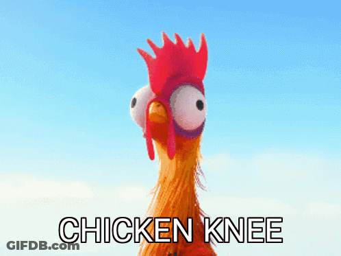 A Picture Of A Chicken With The Words Chicken Knee Written Below It GIF