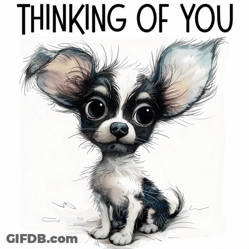 A Picture Of A Chihuahua Puppy With The Words " Thinking Of You " Below It GIF