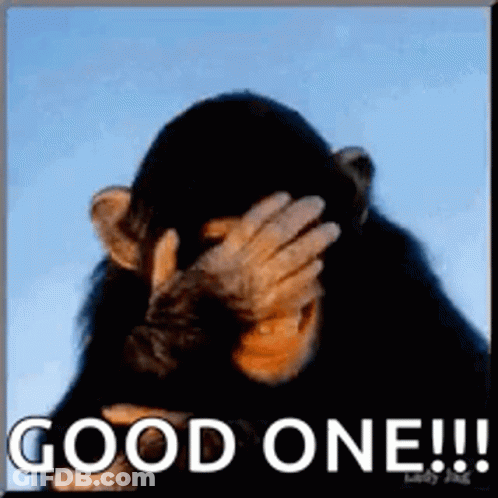 A Picture Of A Chimpanzee Covering His Face With His Hand And The Words Good One !!! GIF