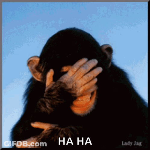 A Picture Of A Chimpanzee Covering Its Face With Its Hand And The Words Ha Ha Underneath It GIF