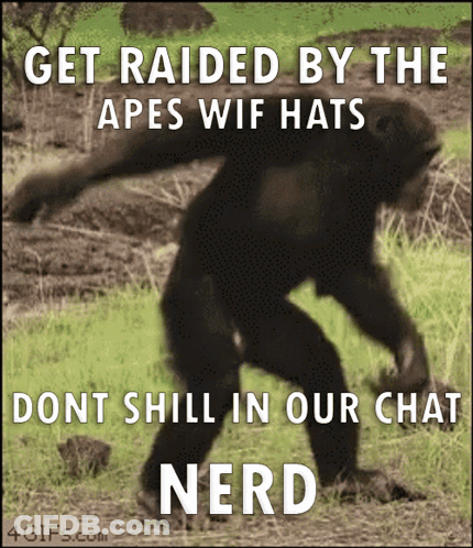 A Picture Of A Chimpanzee With The Words Get Raided By The Apes Wif Hats GIF