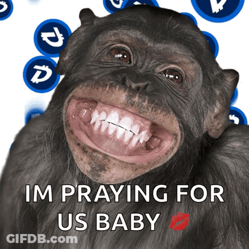 A Picture Of A Chimpanzee With The Words " Im Praying For Us Baby " GIF