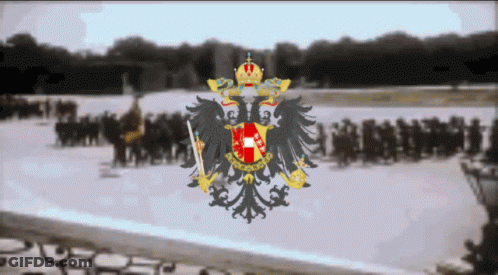 A Picture Of A Coat Of Arms With A Crown And The Words Austria On It GIF