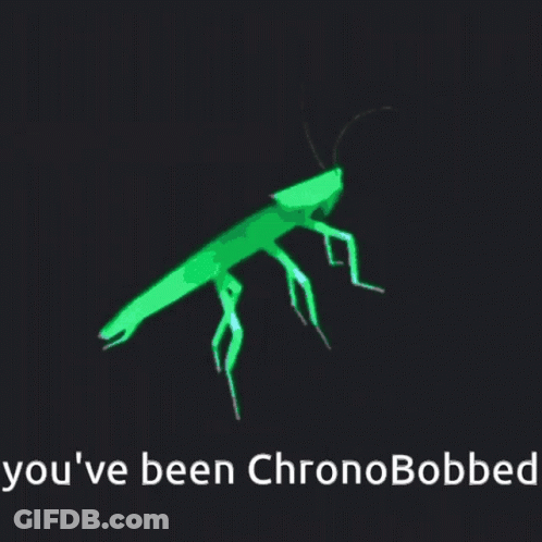 A Picture Of A Cockroach And The Words " You 'Ve Been Chronobobbed " GIF