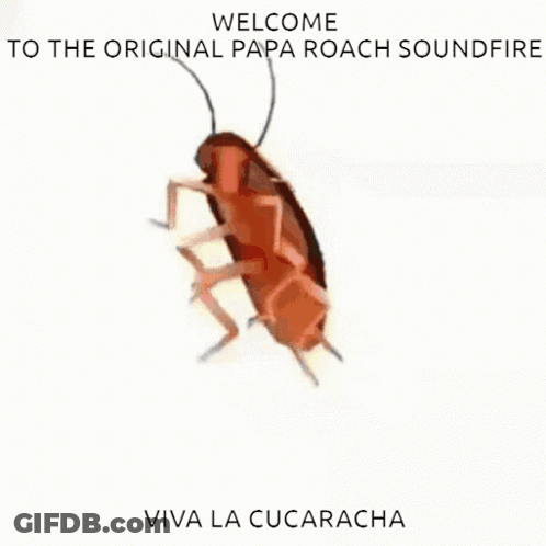A Picture Of A Cockroach With The Words Welcome To The Original Papa Roach Soundfire GIF