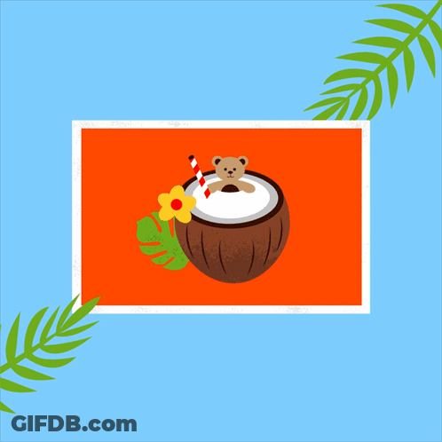 A Picture Of A Coconut With A Teddy Bear Inside GIF