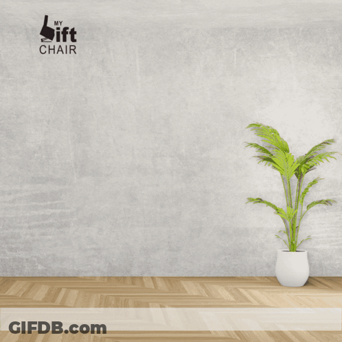 A Picture Of A Comfort Lift Recliner With A Plant In Front Of It GIF