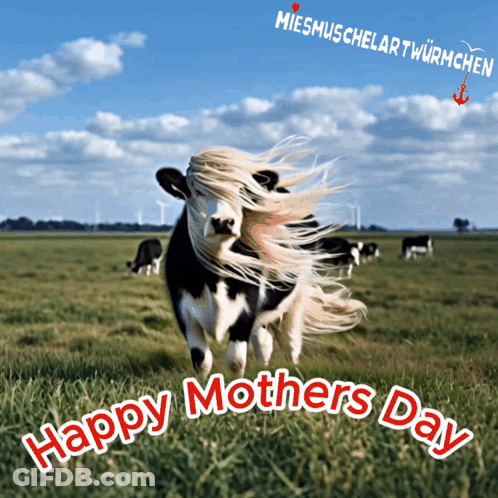 A Picture Of A Cow In A Field With The Words Happy Mothers Day Below It GIF