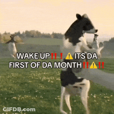 A Picture Of A Cow Standing On Its Hind Legs With The Words Wake Up Its Da First Of Da Month GIF