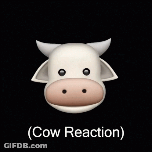 A Picture Of A Cow With The Words " Cow Reaction " Below It GIF