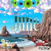 A Picture Of A Crab On A Beach With The Word June On It GIF