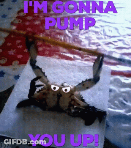 A Picture Of A Crab With The Words " I 'M Gonna Pump You Up " Above It GIF
