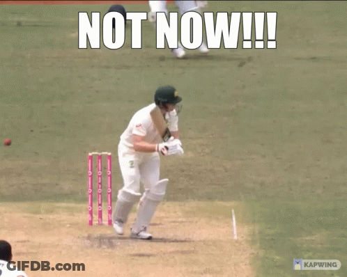 A Picture Of A Cricket Player With A Caption That Says " Not Now " GIF