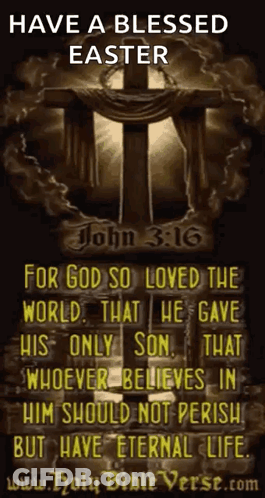 A Picture Of A Cross With A Quote From John 3:16 GIF