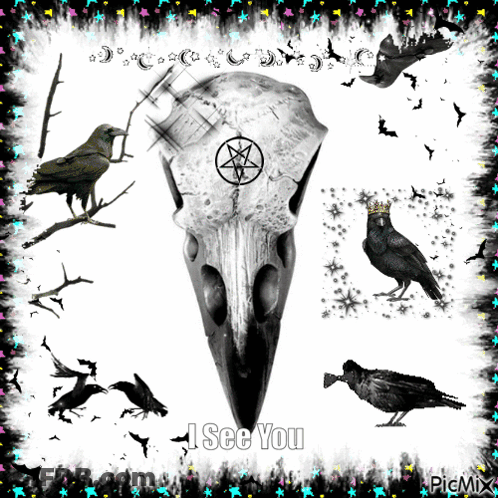 A Picture Of A Crow Skull With A Pentagram And The Words " I See You " GIF