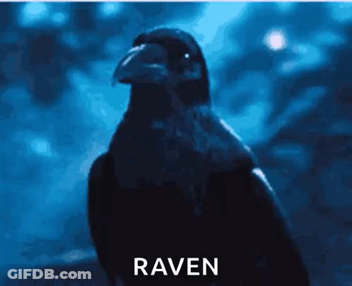 A Picture Of A Crow With The Word Raven Written Below It GIF