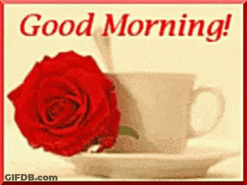 A Picture Of A Cup Of Coffee And A Red Rose With The Words Good Morning GIF