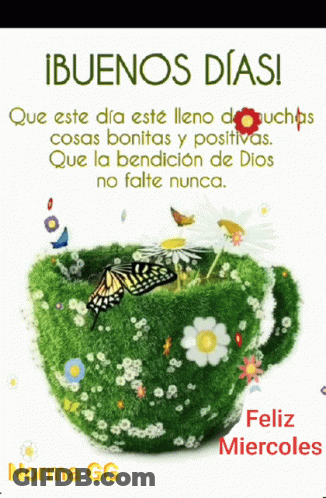 A Picture Of A Cup Of Grass With Flowers And Butterflies And The Words Buenos Dias GIF
