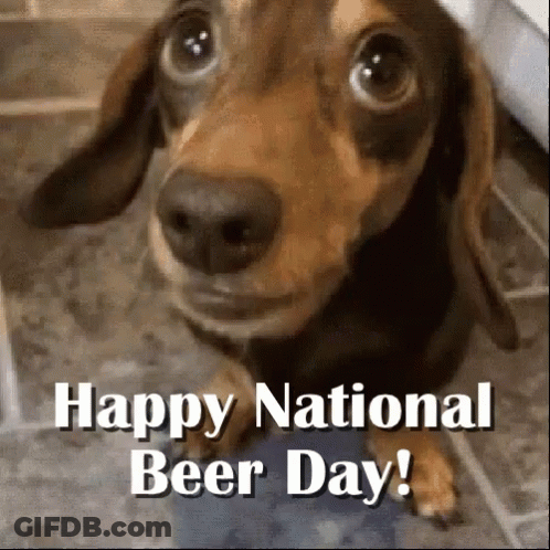 A Picture Of A Dachshund With The Words Happy National Beer Day On It GIF
