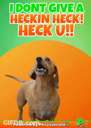 A Picture Of A Dachshund With The Words I Dont Give A Heckin Heck Heck U On It GIF