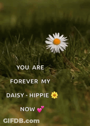 A Picture Of A Daisy In The Grass With The Words " You Are Forever My Daisy Hippie Now " GIF