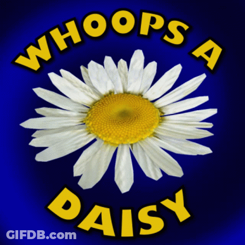 A Picture Of A Daisy With The Words Whoops A Daisy Above It GIF
