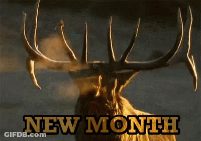 A Picture Of A Deer And The Words New Month GIF