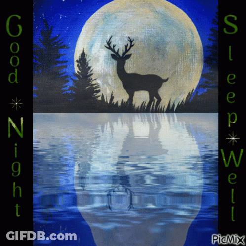 A Picture Of A Deer In Front Of A Full Moon With The Words Good Night Sleep Well GIF