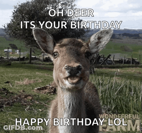A Picture Of A Deer That Says Oh Deer Its Your Birthday Happy Birthday Lol GIF