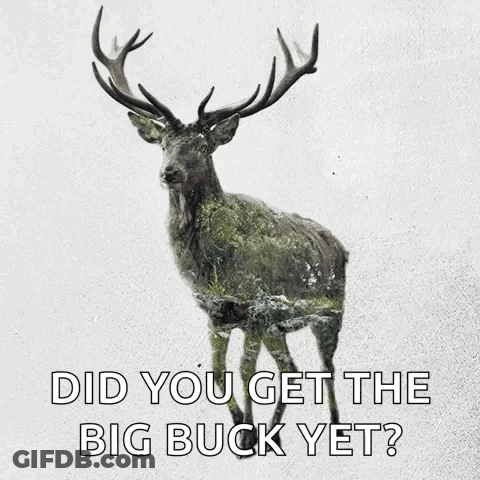 A Picture Of A Deer With A Caption That Says Did You Get The Big Buck Yet GIF