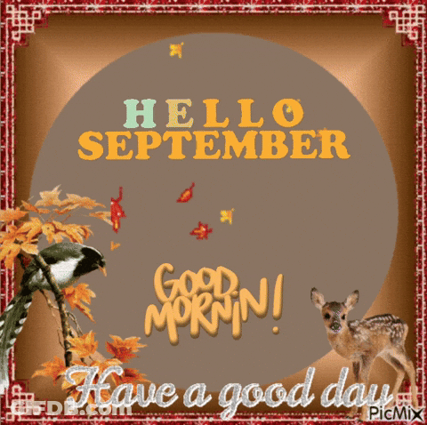 A Picture Of A Deer With The Words Hello September Good Morning Have A Good Day GIF