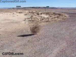 A Picture Of A Desert Road With Captionedgif.com Written On The Bottom GIF